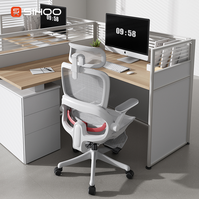 SIHOO B100 PRO Ergonomic Office Chair Floating Sacral Support