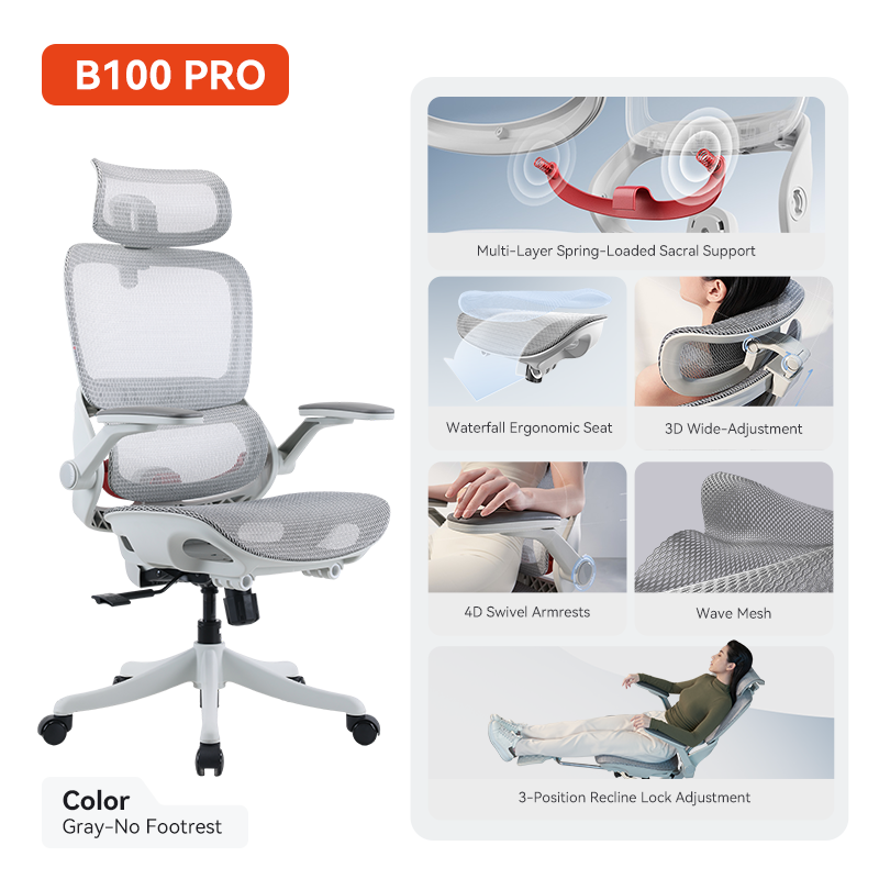 SIHOO B100 PRO Ergonomic Office Chair Floating Sacral Support