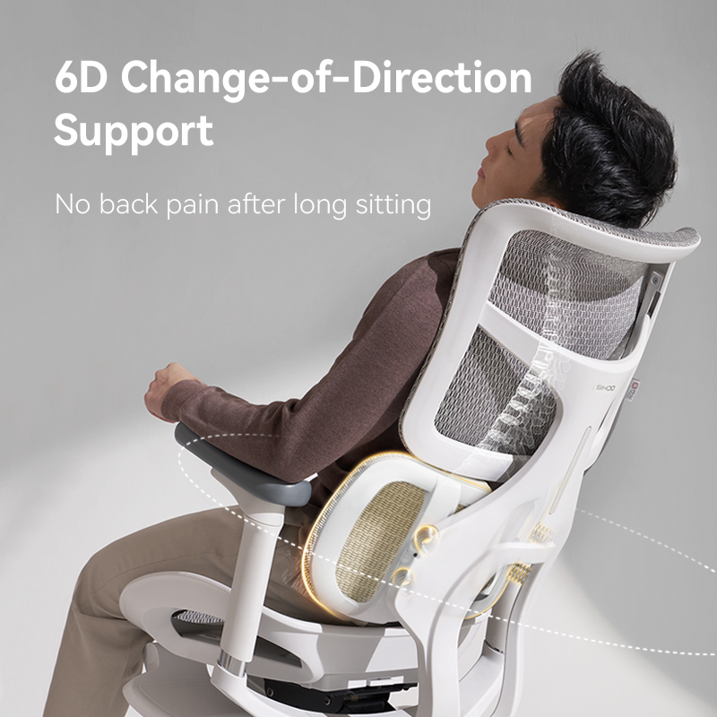 Sihoo S100 Dynamic Ergonomic Office Chair with Lumbar Support