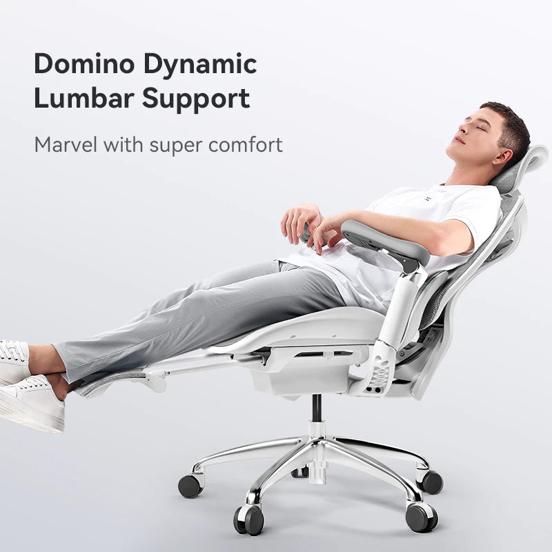 SIHOO Doro C300 Ergonomic Executive Office Chair with Advanced Back Support