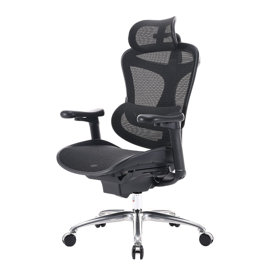 Sihoo Doro C100 Classic Ergonomic Office Chair