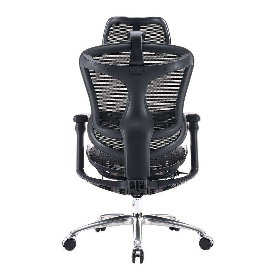 Sihoo Doro C100 Classic Ergonomic Office Chair
