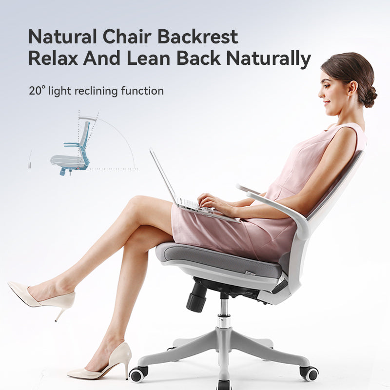 Sihoo M76 Ergonomic Office Chair