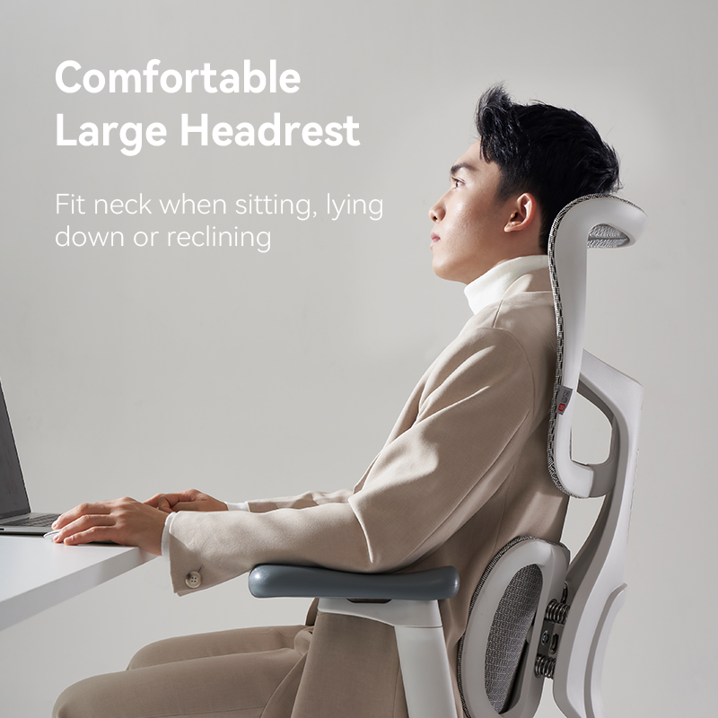 Sihoo S100 Dynamic Ergonomic Office Chair with Lumbar Support
