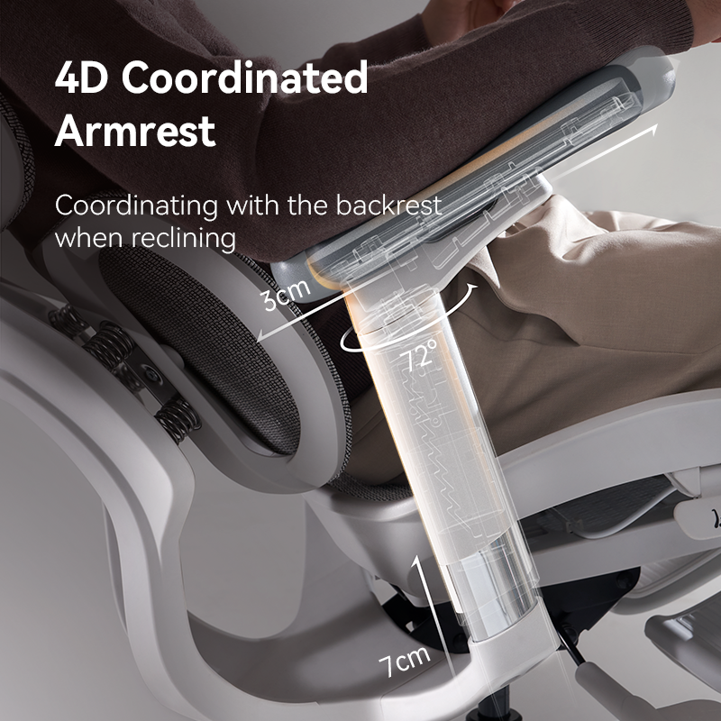 Sihoo S100 Dynamic Ergonomic Office Chair with Lumbar Support