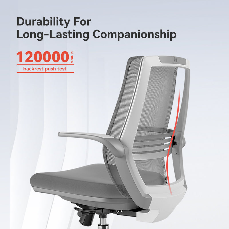 Sihoo M76 Ergonomic Office Chair