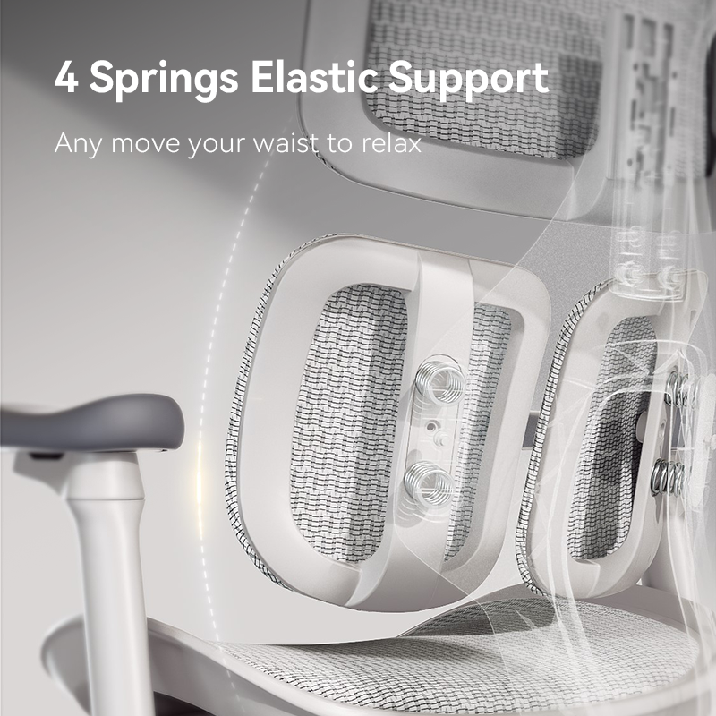 Sihoo S100 Dynamic Ergonomic Office Chair with Lumbar Support