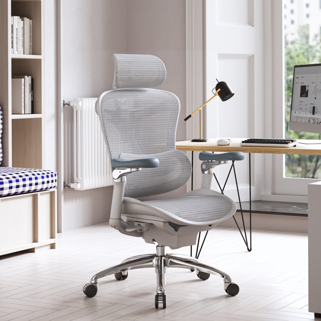 SIHOO Doro C300 Ergonomic Executive Office Chair with Advanced Back Support
