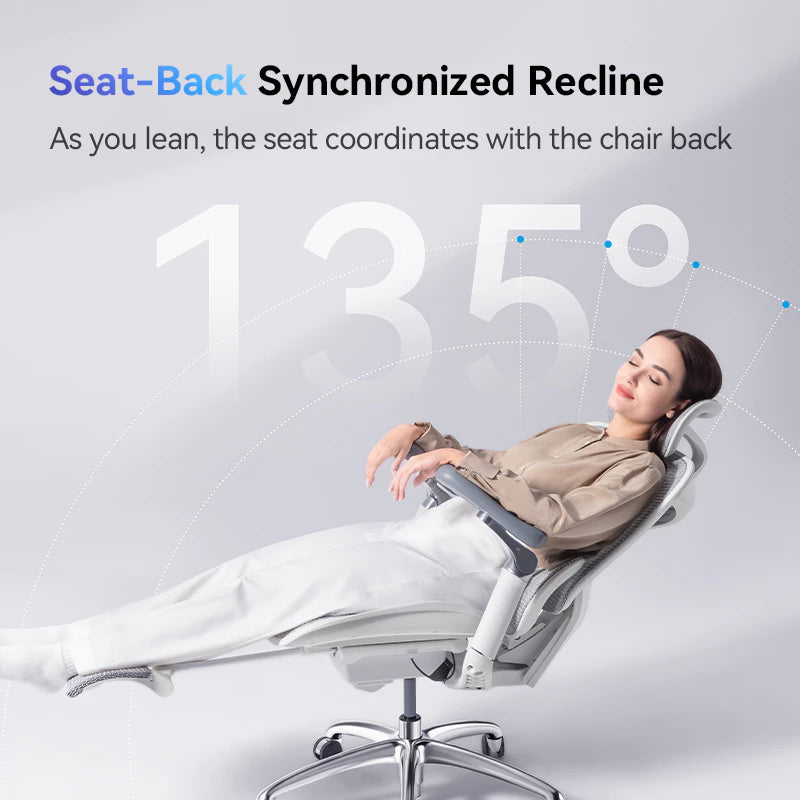 SIHOO Doro C300 Ergonomic Executive Office Chair with Advanced Back Support