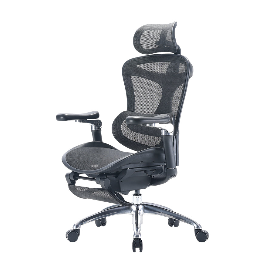 SIHOO Doro C300 Ergonomic Executive Office Chair with Advanced Back Support