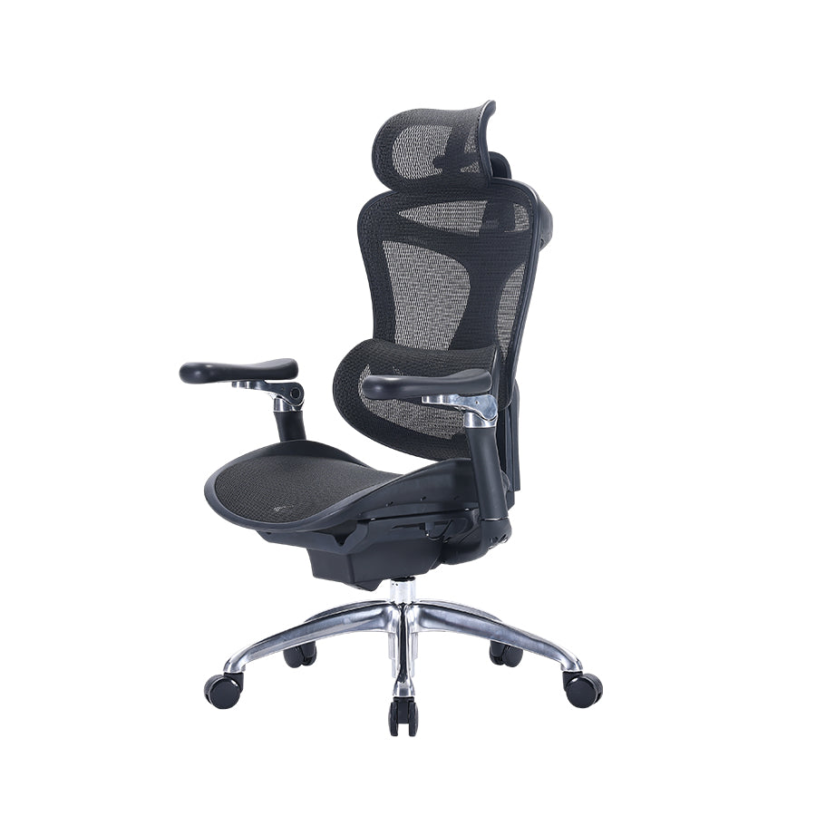 SIHOO Doro C300 Ergonomic Executive Office Chair with Advanced Back Support