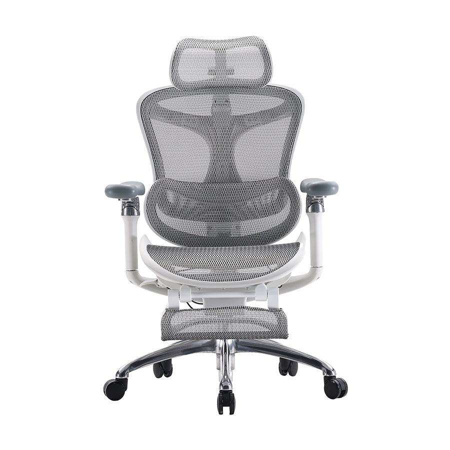 SIHOO Doro C300 Ergonomic Executive Office Chair with Advanced Back Support