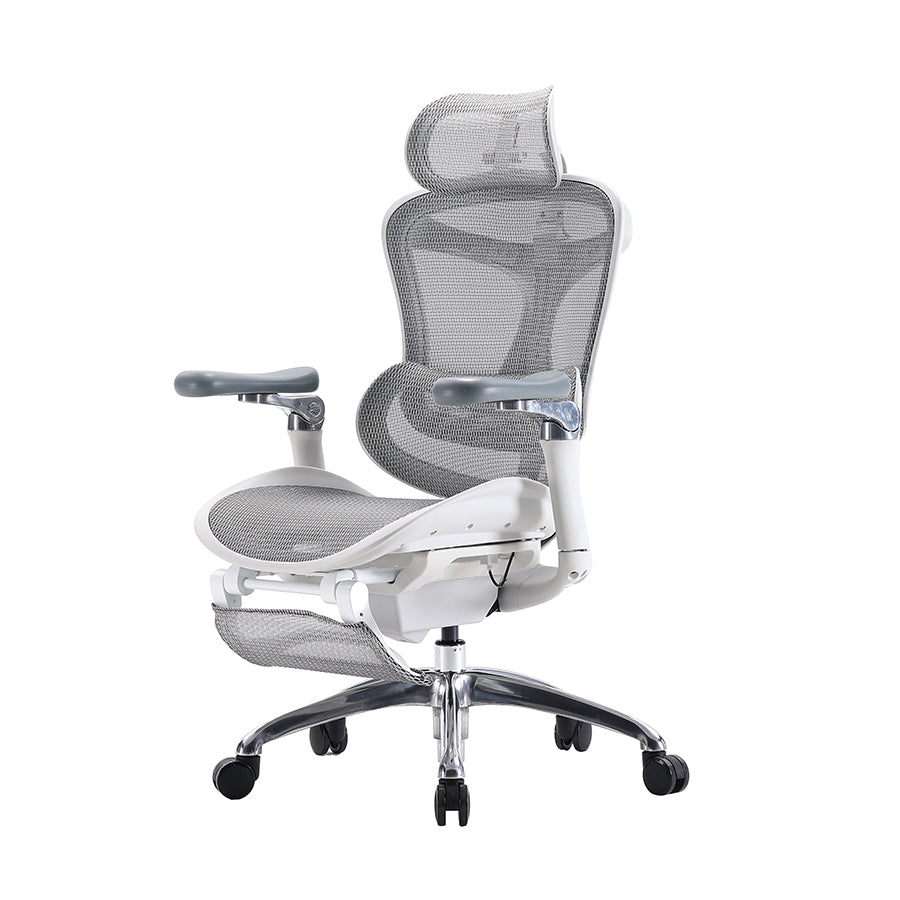 SIHOO Doro C300 Ergonomic Executive Office Chair with Advanced Back Support