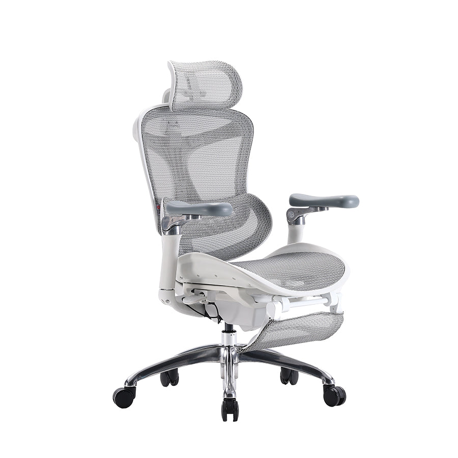 SIHOO Doro C300 Ergonomic Executive Office Chair with Advanced Back Support