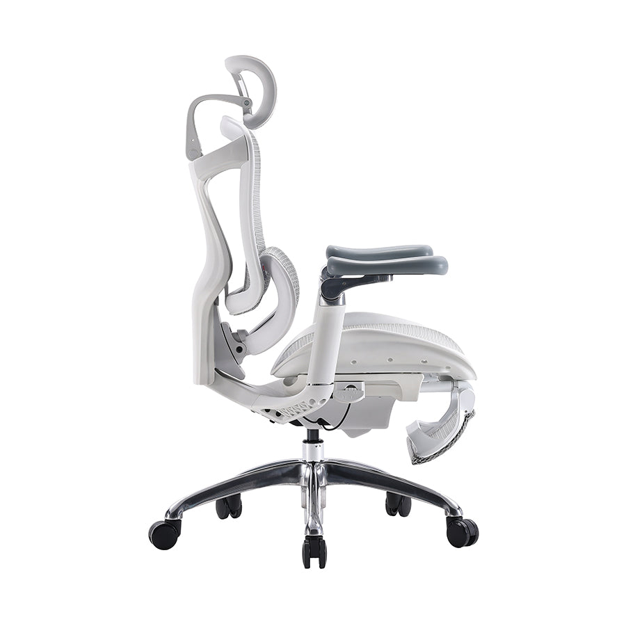 SIHOO Doro C300 Ergonomic Executive Office Chair with Advanced Back Support