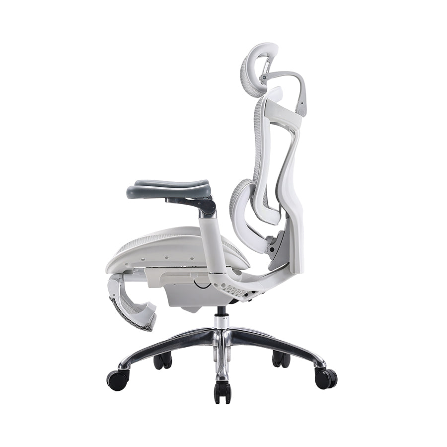 SIHOO Doro C300 Ergonomic Executive Office Chair with Advanced Back Support