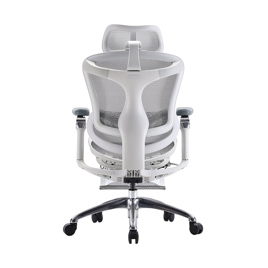 SIHOO Doro C300 Ergonomic Executive Office Chair with Advanced Back Support
