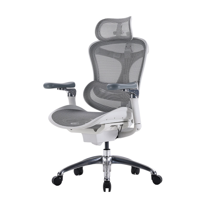 SIHOO Doro C300 Ergonomic Executive Office Chair with Advanced Back Support
