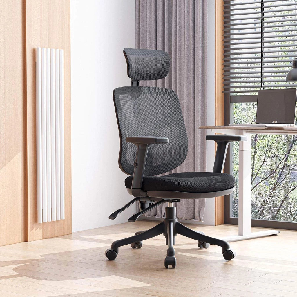 Sihoo M56 Ergonomic Office Chair