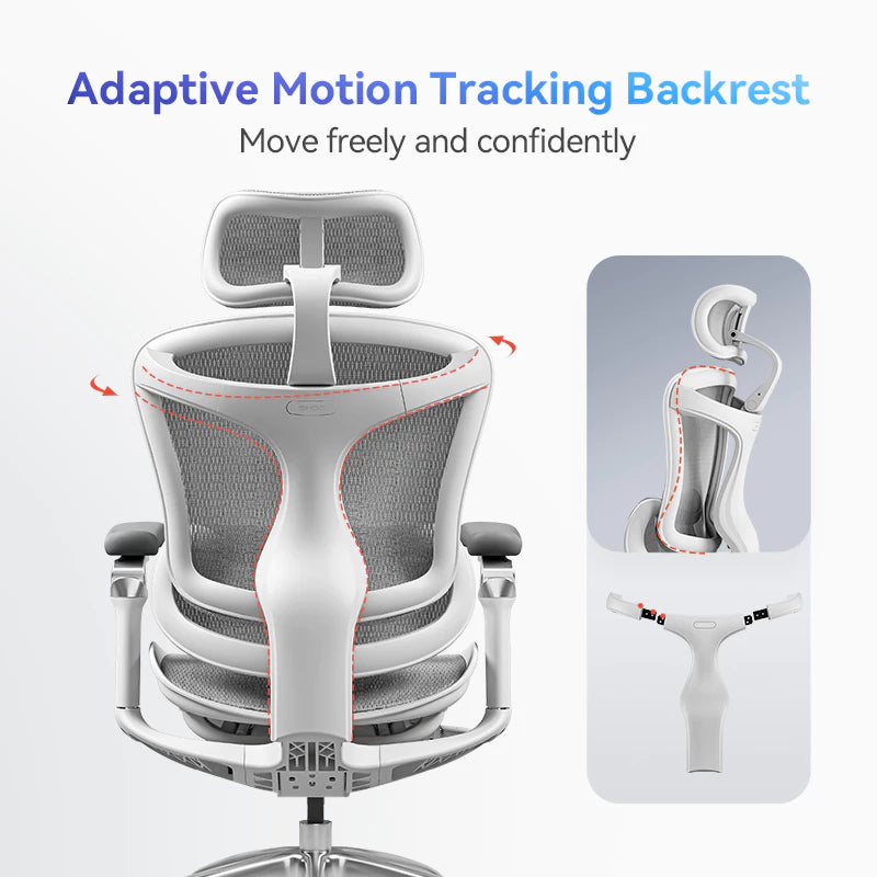 SIHOO Doro C300 Ergonomic Executive Office Chair with Advanced Back Support