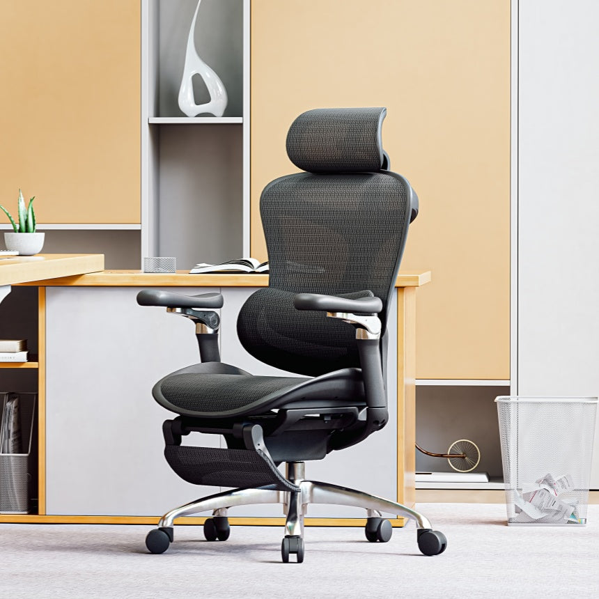 SIHOO Doro C300 Ergonomic Executive Office Chair with Advanced Back Support