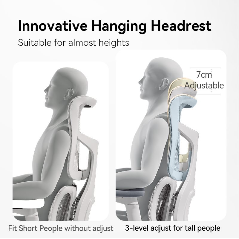 Sihoo S100 Dynamic Ergonomic Office Chair with Lumbar Support