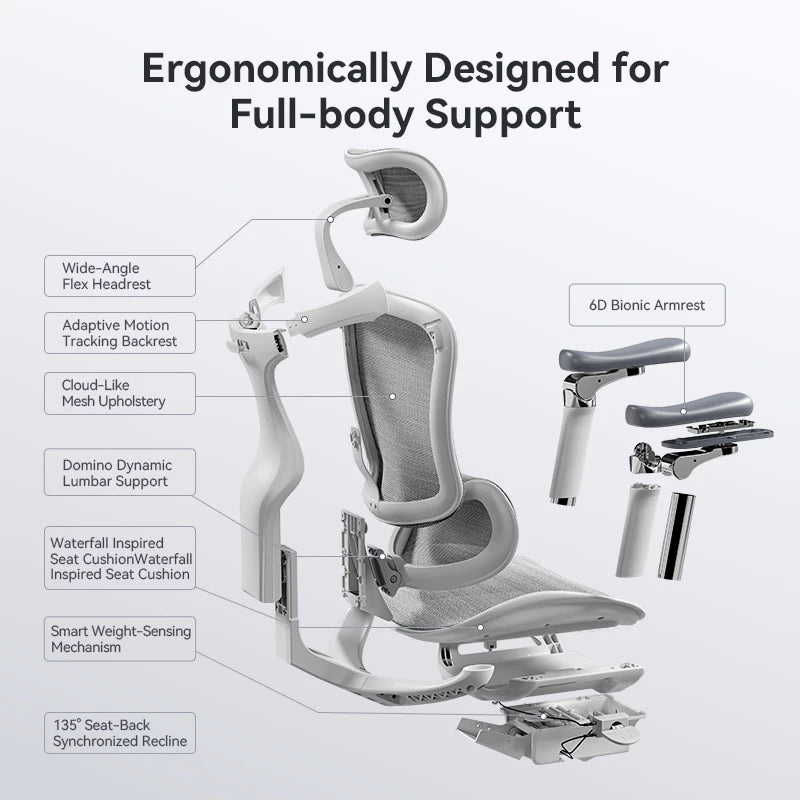 SIHOO Doro C300 Ergonomic Executive Office Chair with Advanced Back Support