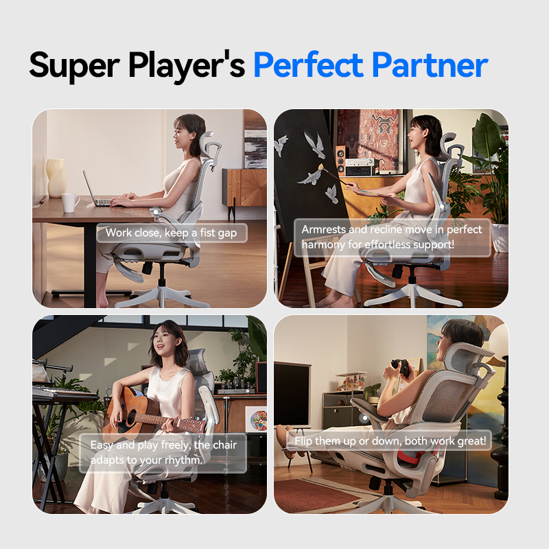 SIHOO B100 PRO Ergonomic Office Chair Floating Sacral Support