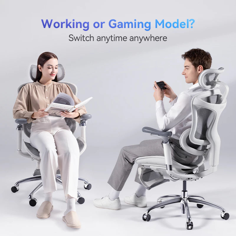 SIHOO Doro C300 Ergonomic Executive Office Chair with Advanced Back Support