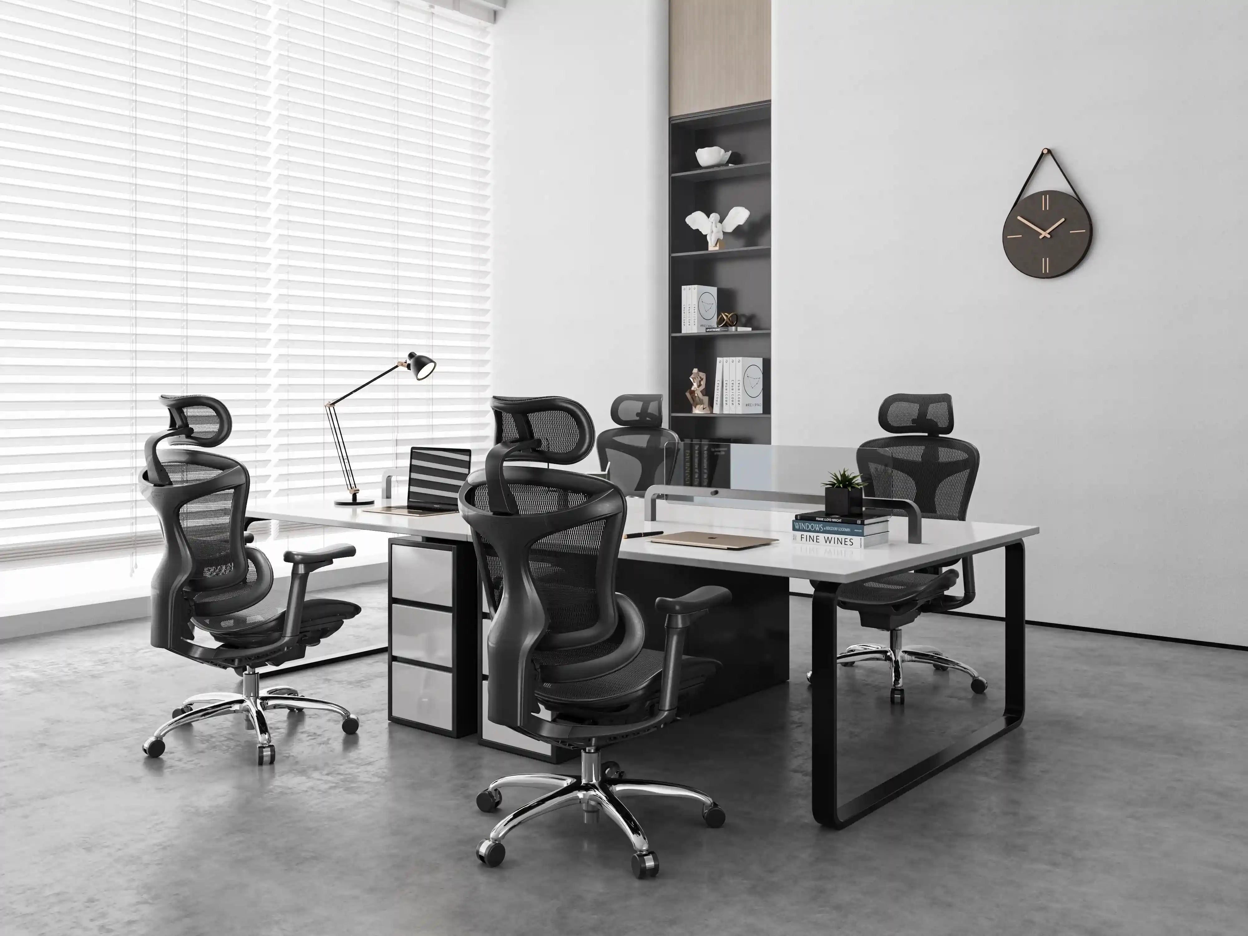 Sihoo Doro C100 Classic Ergonomic Office Chair