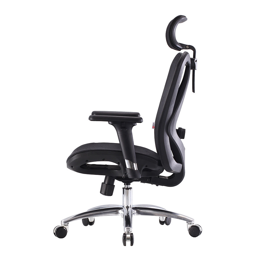 Sihoo M57 Ergonomic Office Chair with Breathable Mesh Cushion