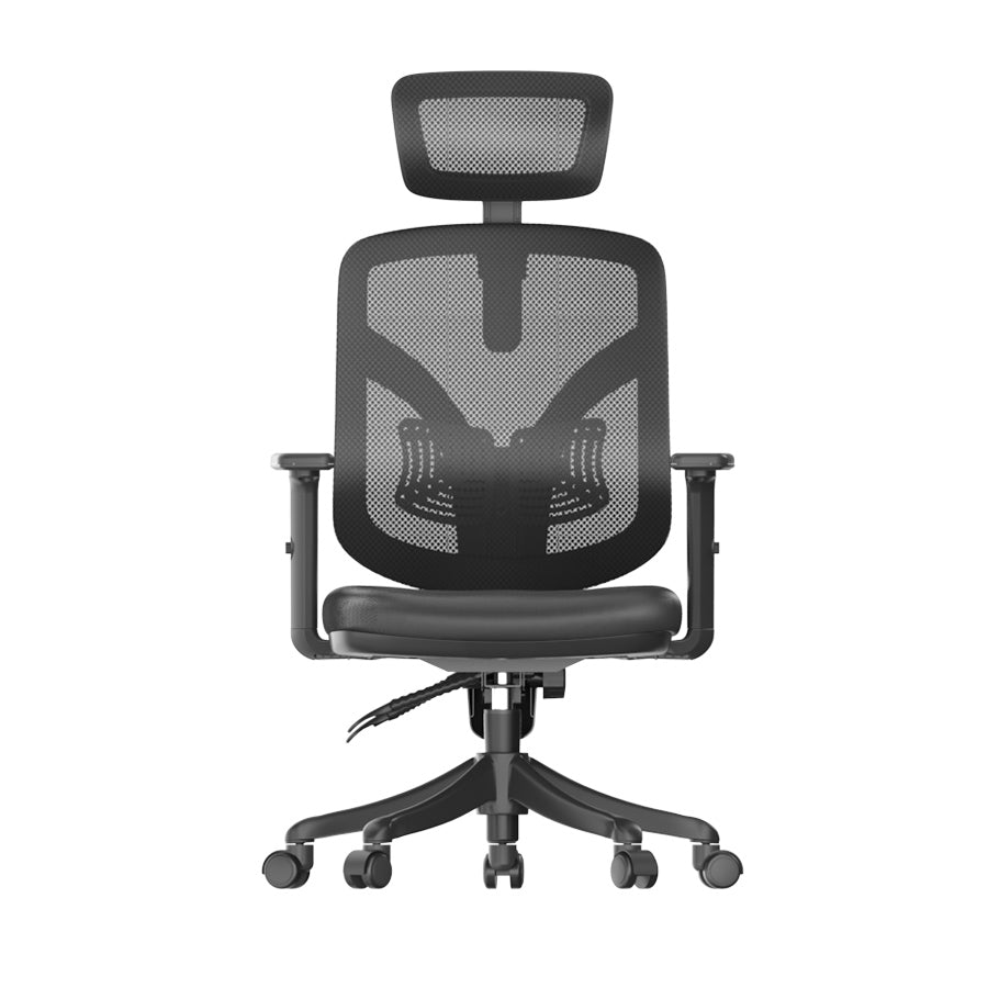 Sihoo M56 Ergonomic Office Chair