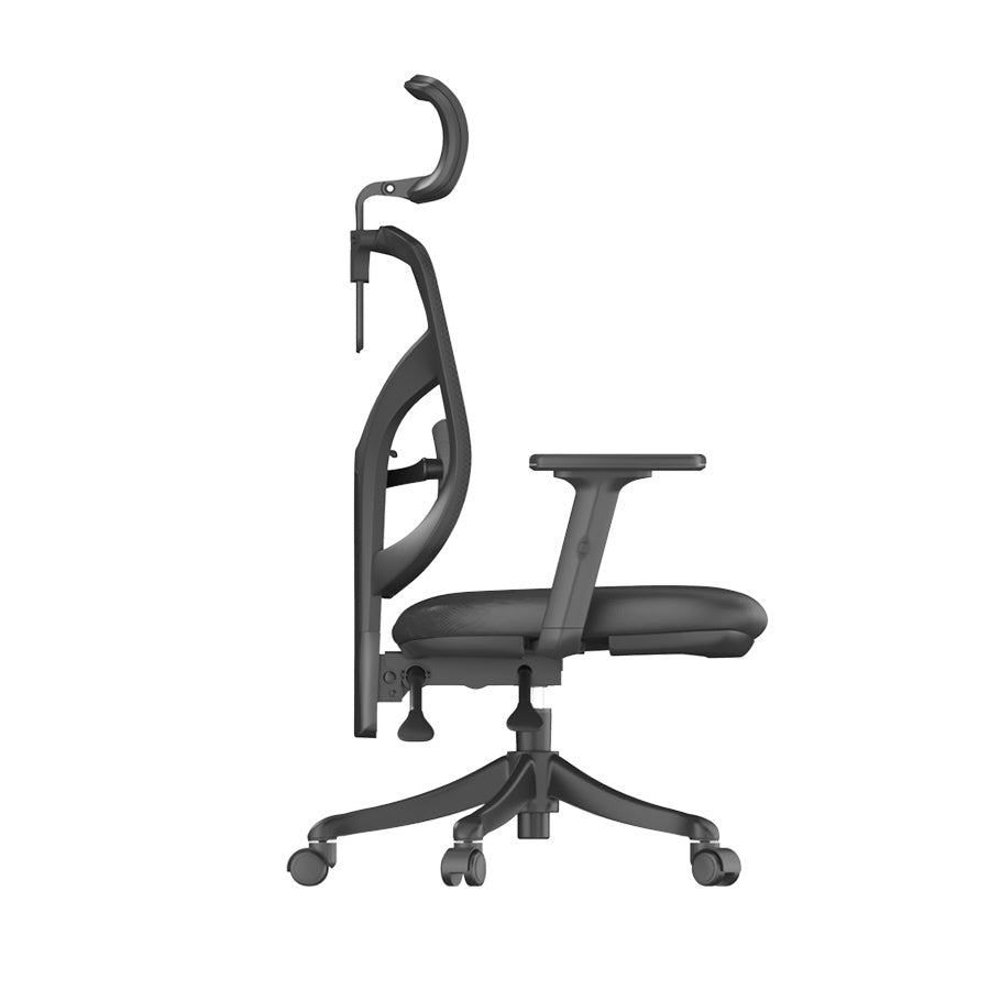 Sihoo M56 Ergonomic Office Chair