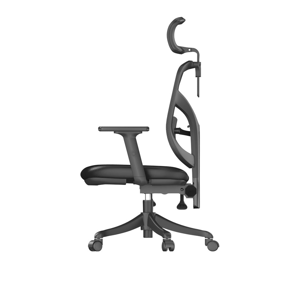Sihoo M56 Ergonomic Office Chair
