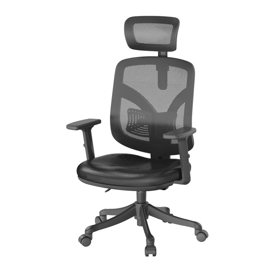 Sihoo M56 Ergonomic Office Chair