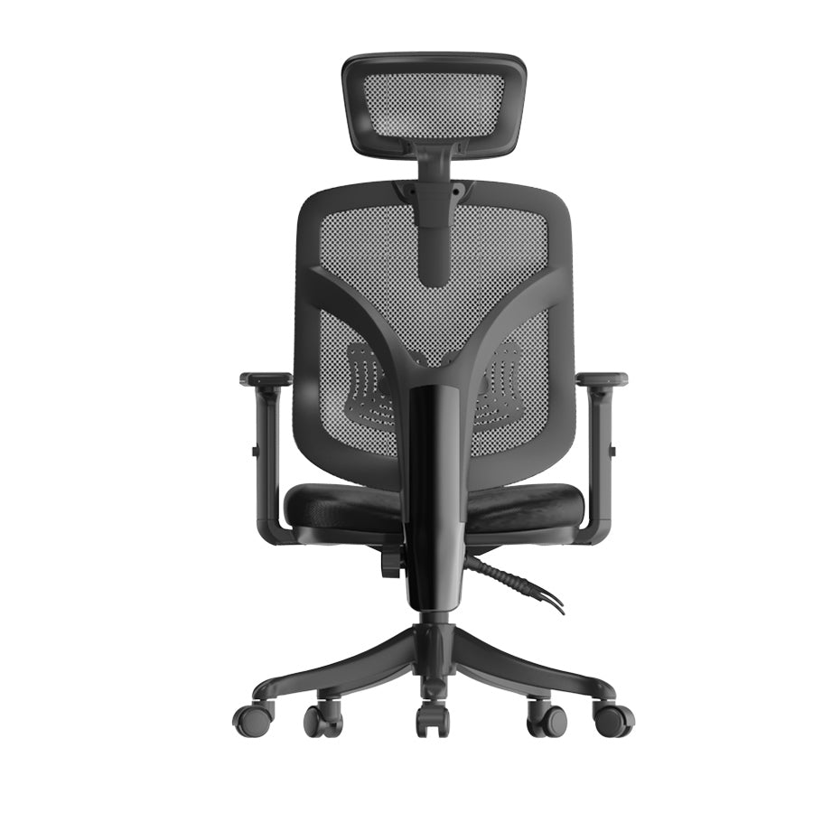 Sihoo M56 Ergonomic Office Chair
