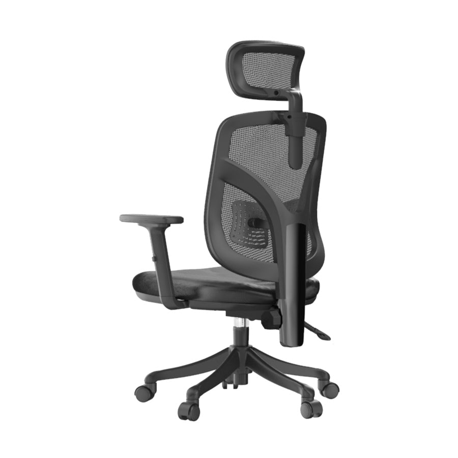 Sihoo M56 Ergonomic Office Chair