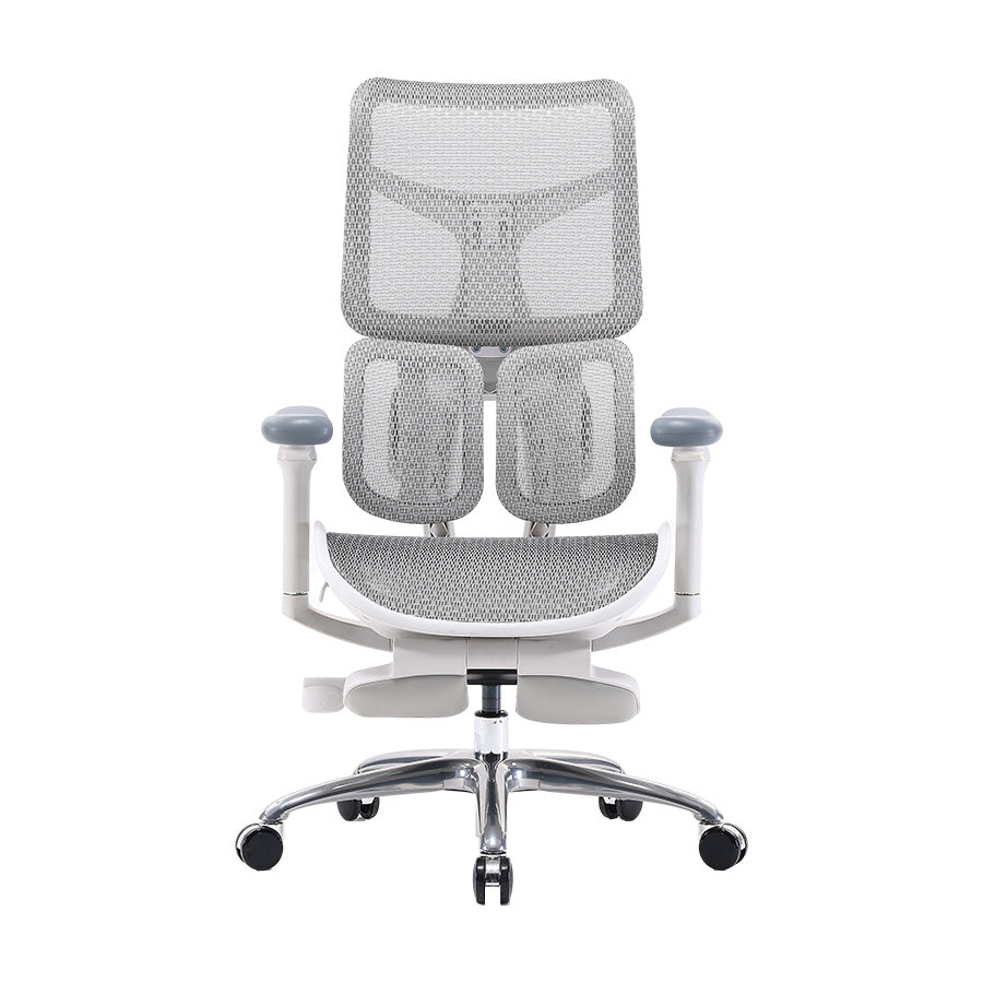 Sihoo S100 Dynamic Ergonomic Office Chair with Lumbar Support