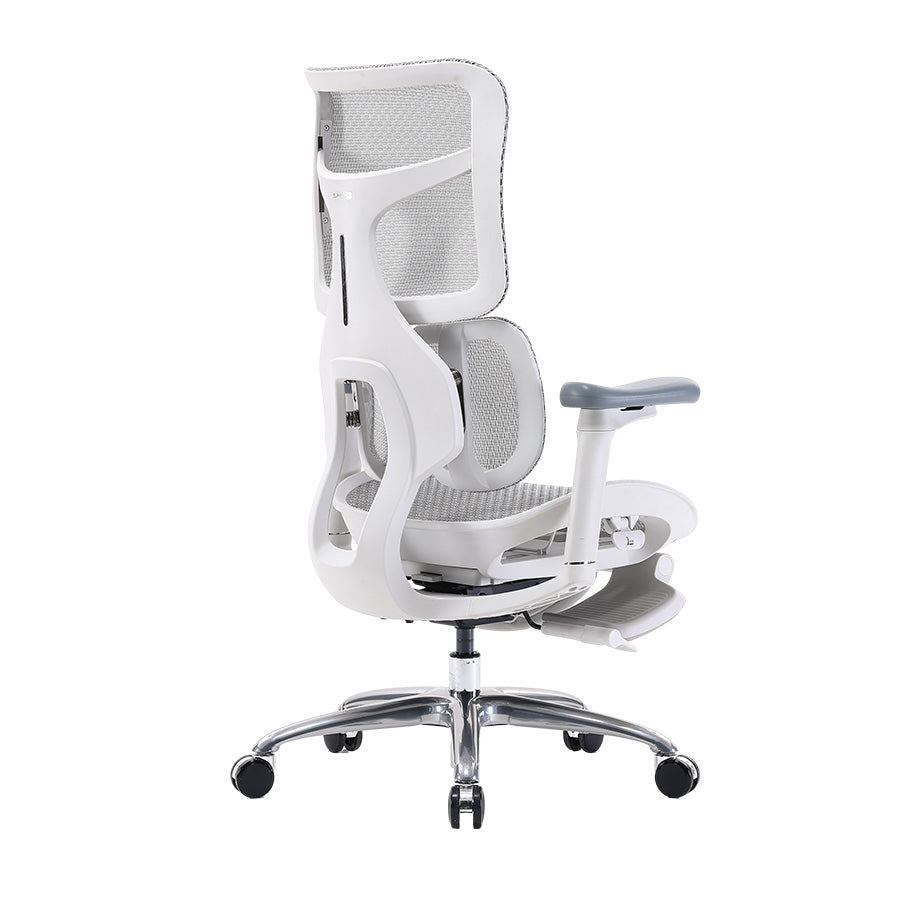 Sihoo S100 Dynamic Ergonomic Office Chair with Lumbar Support