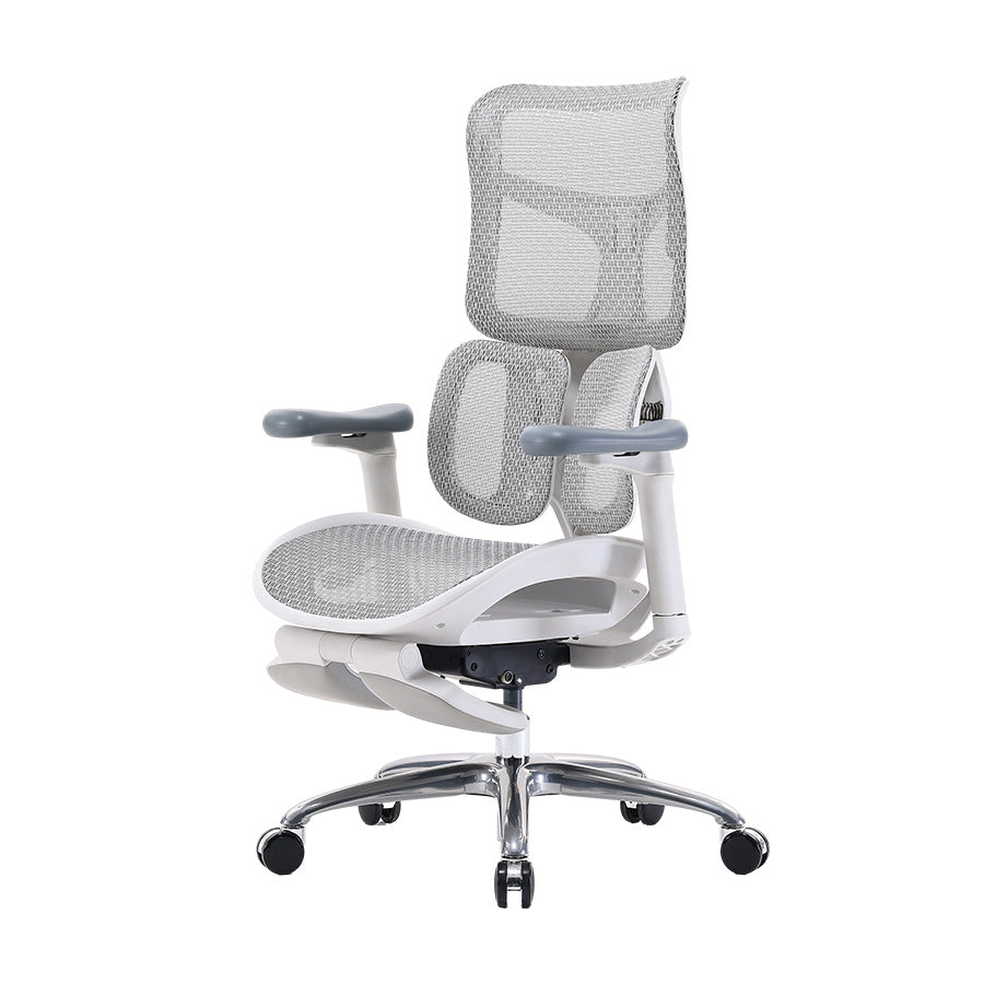 Sihoo S100 Dynamic Ergonomic Office Chair with Lumbar Support