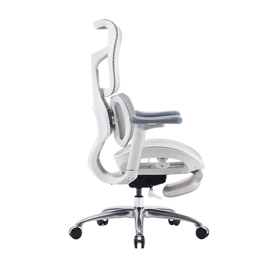 Sihoo S100 Dynamic Ergonomic Office Chair with Lumbar Support