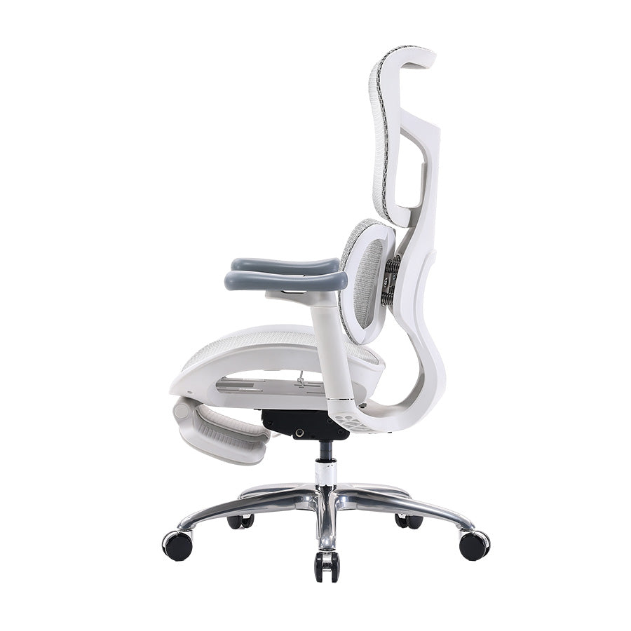 Sihoo S100 Dynamic Ergonomic Office Chair with Lumbar Support