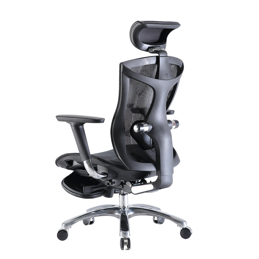Sihoo V1 Ergonomic Office Chair