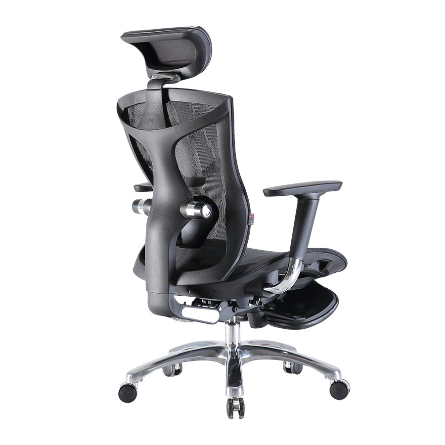 Sihoo V1 Ergonomic Office Chair