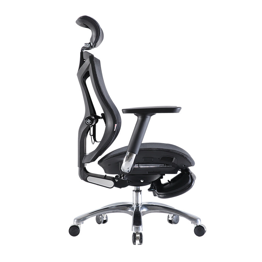 Sihoo V1 Ergonomic Office Chair