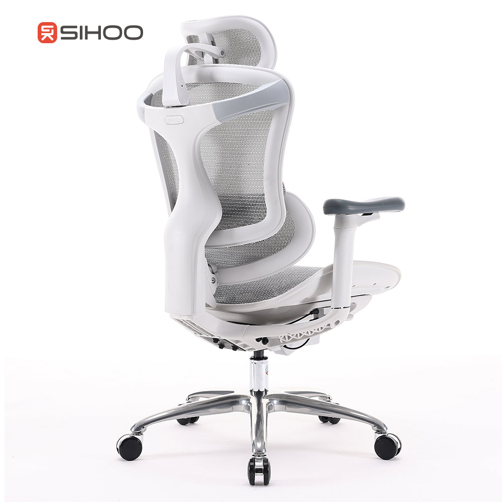 Sihoo Doro C100 Classic Ergonomic Office Chair