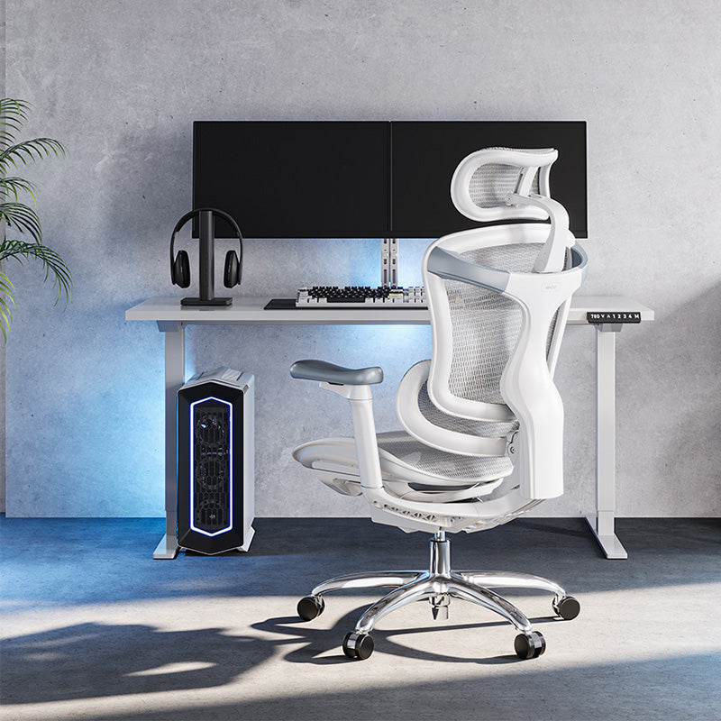Sihoo Doro C100 Classic Ergonomic Office Chair