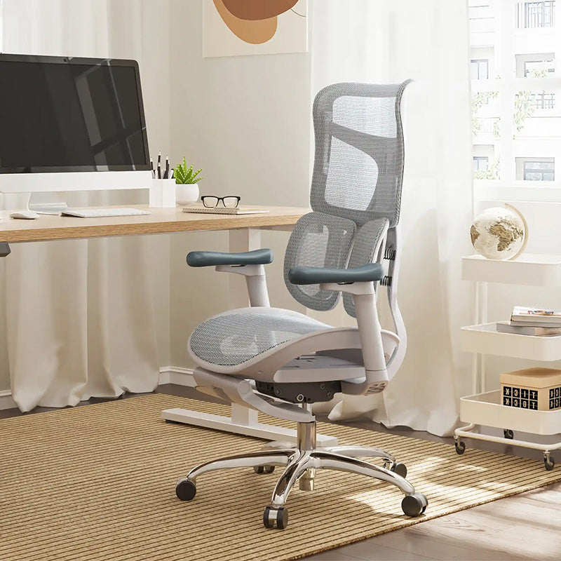 Sihoo S100 Dynamic Ergonomic Office Chair with Lumbar Support