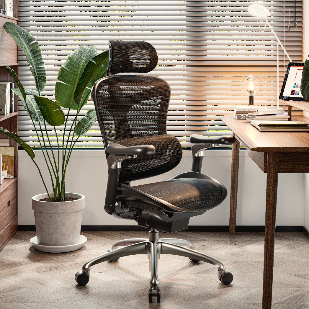 SIHOO Doro C300 Ergonomic Executive Office Chair with Advanced Back Support