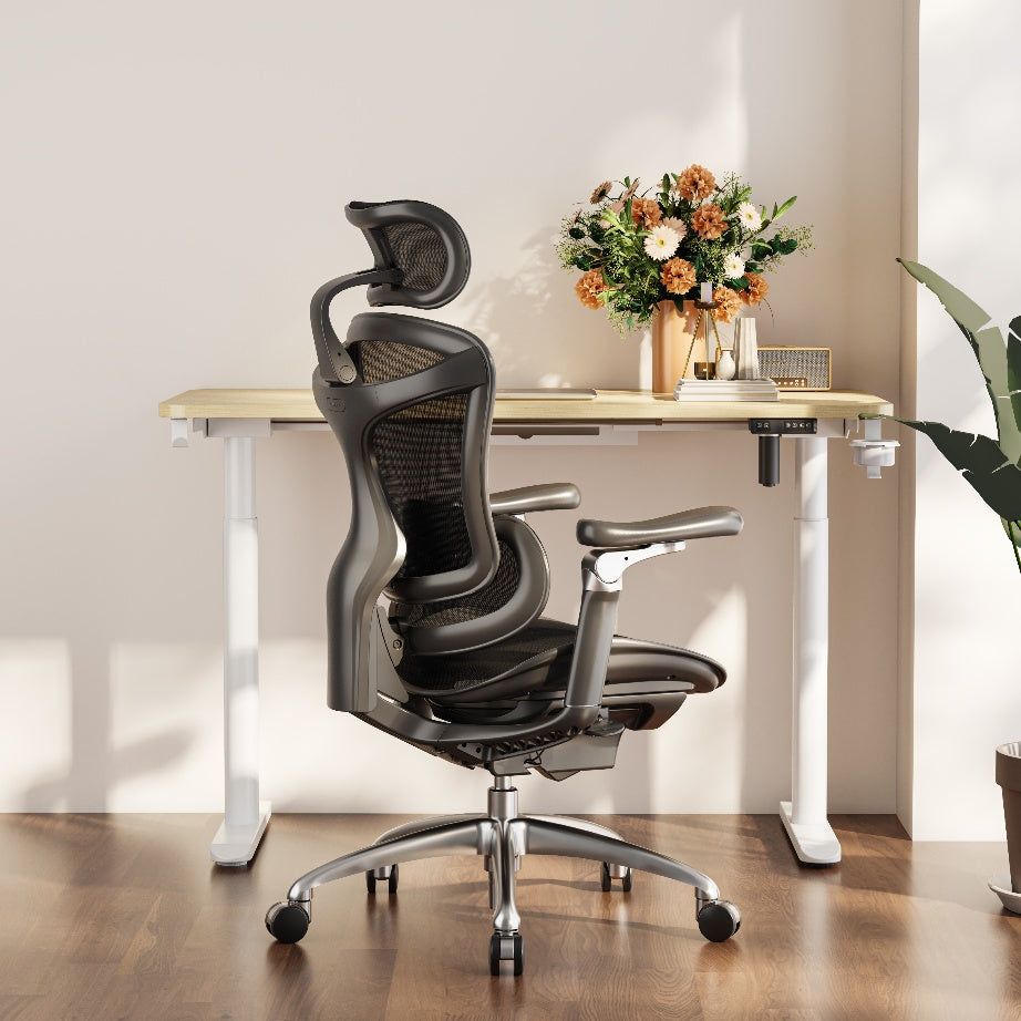 SIHOO Doro C300 Ergonomic Executive Office Chair with Advanced Back Support
